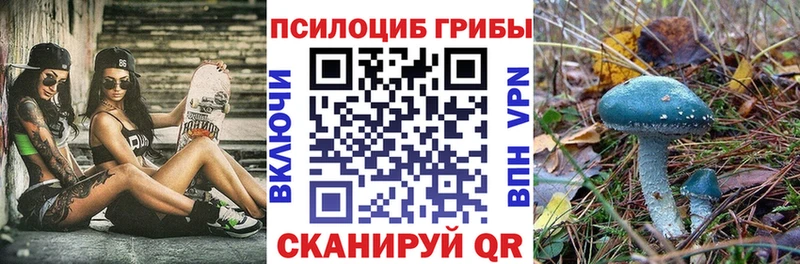 наркота  Кострома  даркнет формула  Галлюциногенные грибы мицелий 