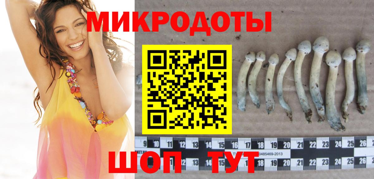 Галлюциногенные грибы Psilocybe Кострома